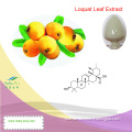 100% Natural Loquat Leaf Powder Extract (Ursolic Acid 25%~98%) --Nutramax Supplier